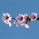 FVCW (24)-Schönweitz-Berthold